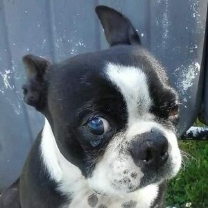 Meet your Posher, Jacob